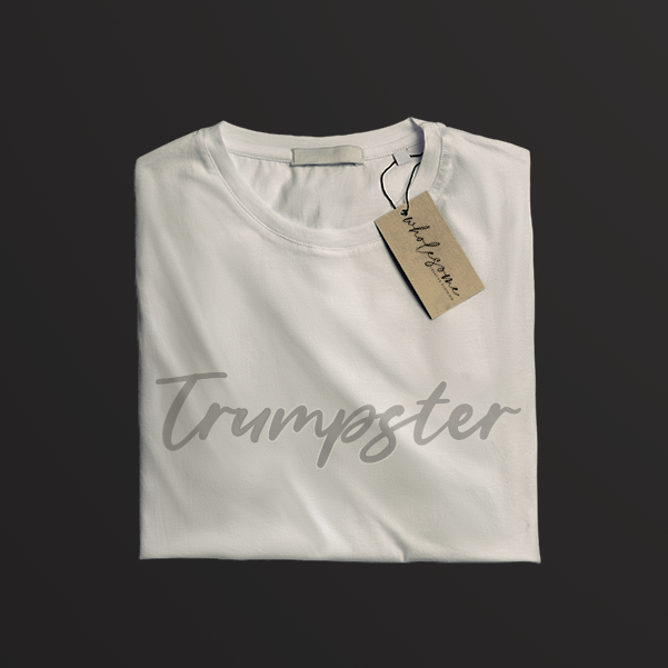 Political Shirts - In Stock